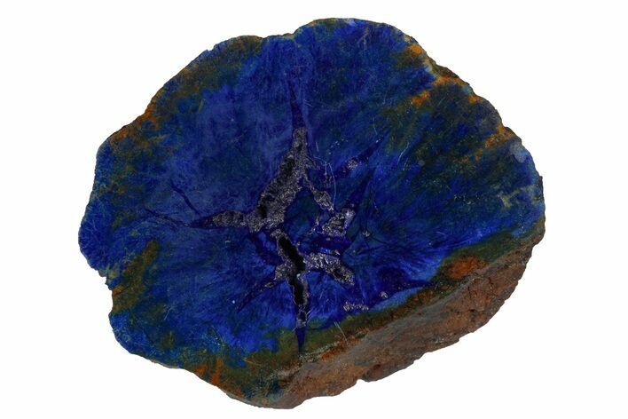 Vivid Blue, Cut/Polished Azurite Nodule - Siberia #175552